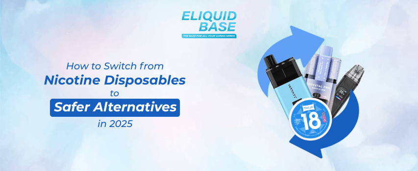 How to Switch from Nicotine Disposables to Safer Alternatives in 2025 - Eliquid Base