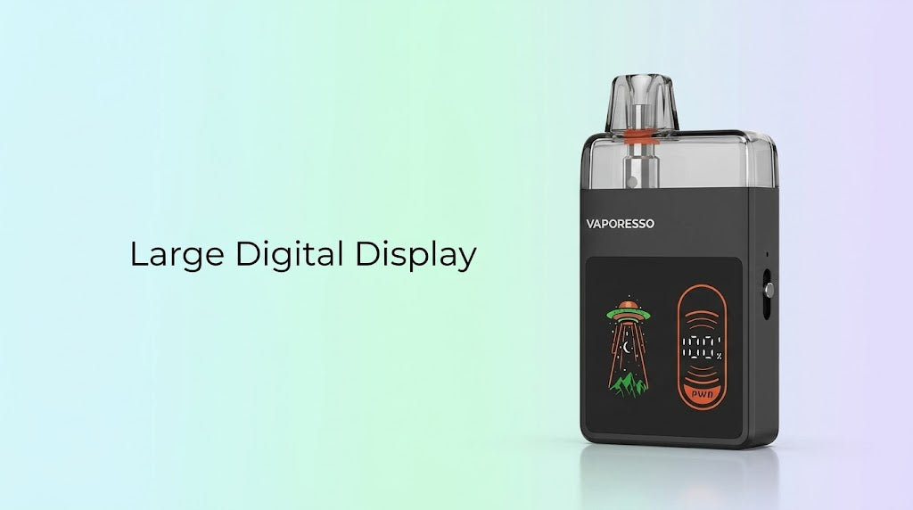 Large Digital Display