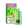 Elf Bar Dual 10K Prefilled Pod Vape Kit - Eliquid Base - Green Edition