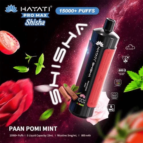Hayati Pro Max Shisha 15k Disposable Vape Device - Eliquid Base - Paan Pomi Mint